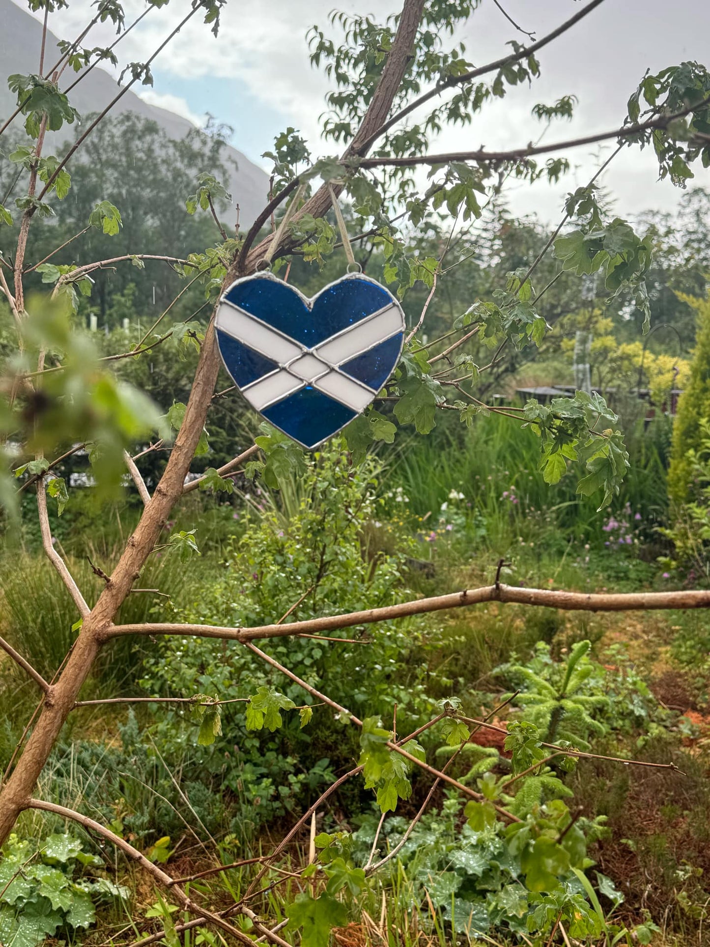 Love, Scotland
